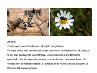 Ojo con:
•Fondos que no contrastan con el objeto fotografiado.
•Fuentes de luz que deslumbren o que contrasten demasiado con el sujeto, a
no ser que busquemos un contraluz. Un ejemplo sería una lámapara
apuntando directamente a la cámara, una ventana en una foto interior, etc…
•Fondos con demasiado detalle. Si el fondo tiene mucho detalle distraerá la
atención del motivo principal.
 