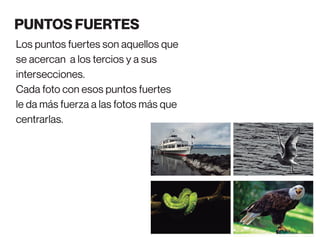 Los puntos fuertes son aquellos que
se acercan a los tercios y a sus
intersecciones.
Cada foto con esos puntos fuertes
le da más fuerza a las fotos más que
centrarlas.
PUNTOS FUERTES
 