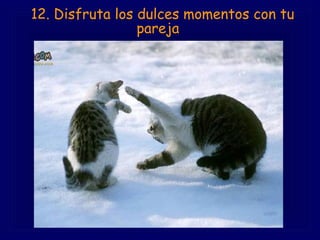   12. Disfruta los dulces momentos con tu pareja   