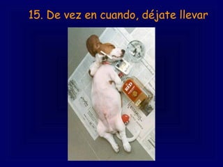        15. De vez en cuando, déjate llevar 