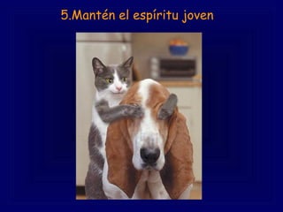   5.Mantén el espíritu joven     