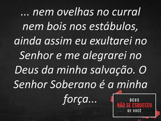 ... nem ovelhas no curral
nem bois nos estábulos,
ainda assim eu exultarei no
Senhor e me alegrarei no
Deus da minha salvação. O
Senhor Soberano é a minha
força...
 