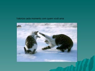 Valorize cada momento com quem você ama                                                                                        