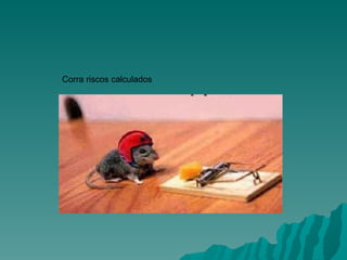 Corra riscos calculados                                                                                        