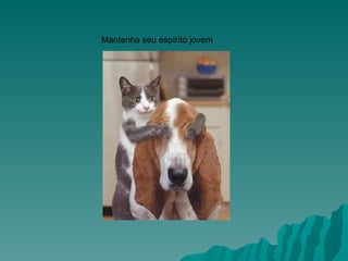 Mantenha seu espírito jovem                                                    