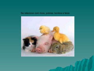 Se relacione com ricos, pobres, bonitos e feios                                                                          