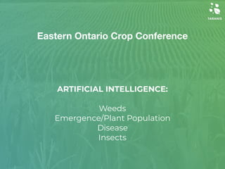 ARTIFICIAL INTELLIGENCE:
 
Weeds
Emergence/Plant Population
Disease
Insects
Eastern Ontario Crop Conference
 