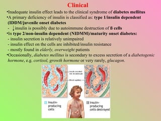 Clinical <ul><li>Inadequate insulin effect leads to the clinical syndrome of  diabetes mellitus </li></ul><ul><li>A primar...