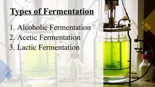 18-Fermentation and its uses.pptx practical | PPTX