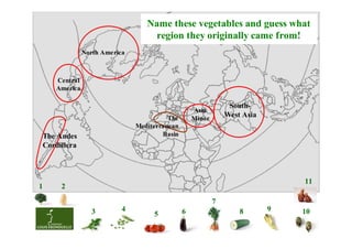 Name these vegetables and guess what
                                  region they originally came from!
              North America



    Central
    America

                                                               South-
                                                  Asia
                                        The       Minor
                                                              West Asia
                              Mediterranean
The Andes                             Basin
Cordillera



                                                                                  11
1    2

                                                          7
                 3        4                   6                   8       9       10
                                   5
                                                                              1
 