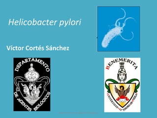 Helicobacter pylori

Víctor Cortés Sánchez




                 Departamento de Agentes Biológicos
 