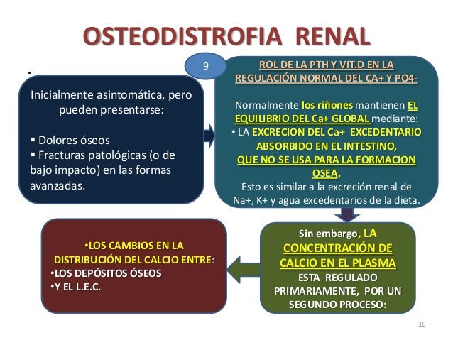 Dieta para insuficiencia renal