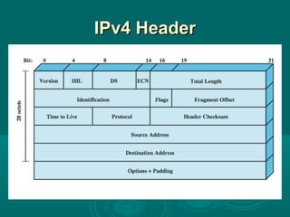 IPIPv4 Headerv4 Header
 