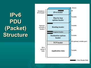IPv6IPv6
PDUPDU
(Packet)(Packet)
StructureStructure
 