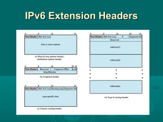 IPv6 Extension HeadersIPv6 Extension Headers
 