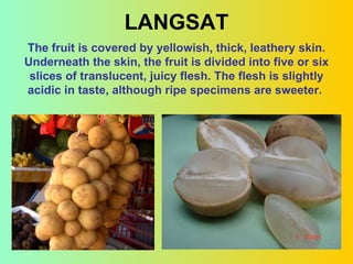 LANGSAT The fruit is covered by yellowish, thick, leathery skin. Underneath the skin, the fruit is divided into five or six slices of translucent, juicy flesh. The flesh is slightly acidic in taste, although ripe specimens are sweeter.  