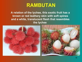 RAMBUTAN A relation of the lychee, this exotic fruit has a brown or red leathery skin with soft spines and a white, translucent flesh that resembles the lychee  