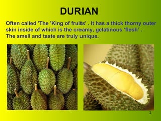 DURIAN Often called 'The 'King of fruits' . It has a thick thorny outer skin inside of which is the creamy, gelatinous ‘flesh’ . The smell and taste are truly unique. 