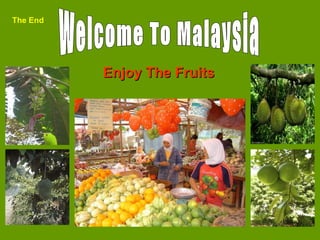 Welcome To Malaysia Enjoy The Fruits The End 