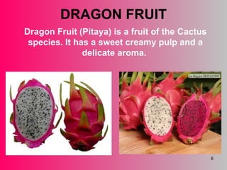 DRAGON FRUIT Dragon Fruit (Pitaya) is a fruit of the Cactus species. It has a sweet creamy pulp and a delicate aroma.  