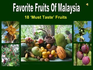 Favorite Fruits Of Malaysia 18 ‘Must Taste’ Fruits 