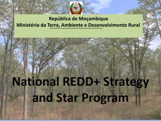 National REDD+ Strategy
and Star Program
República de Moçambique
Ministério da Terra, Ambiente e Desenvolvimento Rural
 