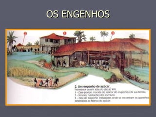 OS ENGENHOS 