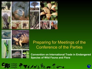 1
Convention on International Trade in Endangered
Species of Wild Fauna and Flora
Preparing for Meetings of the
Conference of the Parties
 
