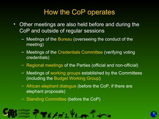 Preparing for the CO P | PPT