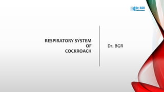 RESPIRATORY SYSTEM
OF
COCKROACH
Dr. BGR
 