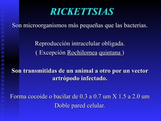 RICKETTSIAS Son microorganismos más pequeñas que las bacterias. Reproducción intracelular obligada. ( Excepción  Rochilomea   quintana  ) Son transmitidas de un animal a otro por un vector artrópodo infectado. Forma cocoide o bacilar de 0.3 a 0.7 um X 1.5 a 2.0 um Doble pared celular. 