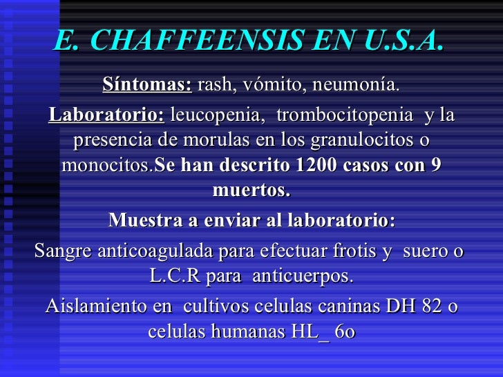 Como sacar las lombrices embarazado
