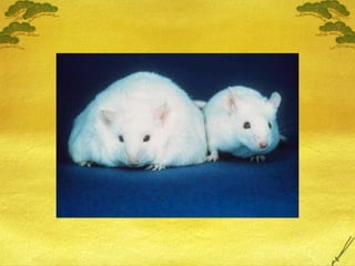 18 Sobrepeso y Obesidad