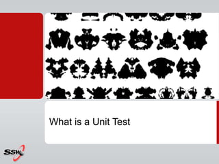 What is a Unit Test
 