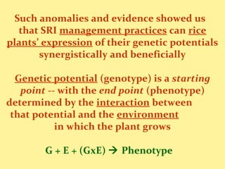 Such anomalies and evidence showed us
that SRI management practices can rice
plants’ expression of their genetic potential...