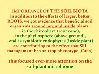 IMPORTANCE OF THE SOIL BIOTA
In addition to the effects of larger, better
ROOTS, we got evidence that beneficial soil
orga...