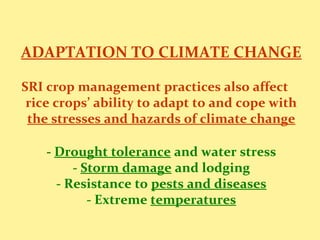 ADAPTATION TO CLIMATE CHANGE
SRI crop management practices also affect
rice crops’ ability to adapt to and cope with
the s...