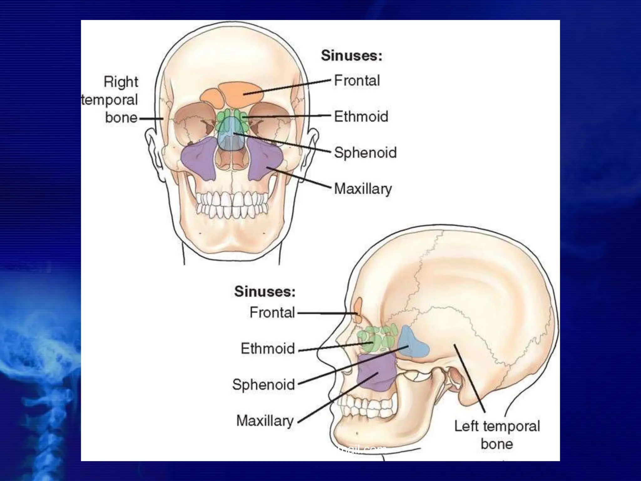 -drdhiru456@gmail.com
 