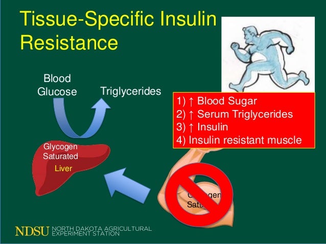Insulin Index Chart Dr Berg