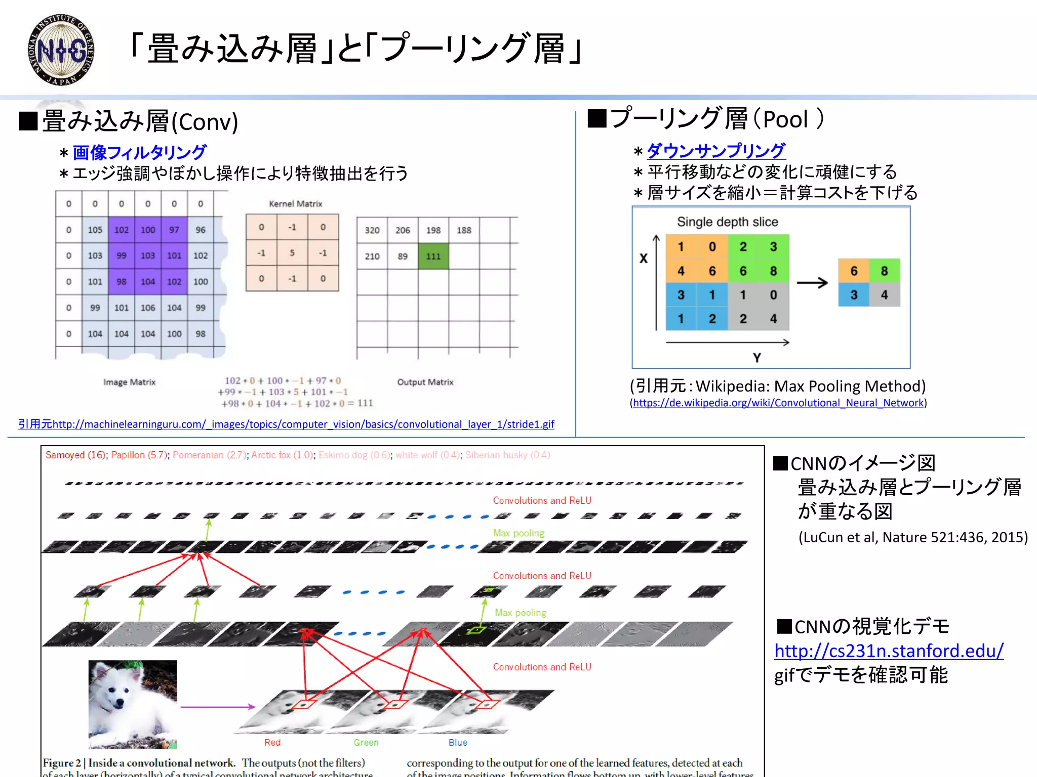 ■CNNのイメージ図
畳み込み層とプーリング層
が重なる図
「畳み込み層」と「プーリング層」
■プーリング層（Pool ）■畳み込み層(Conv)
＊ダウンサンプリング
＊平行移動などの変化に頑健にする
＊層サイズを縮小＝計算コストを下げる
(引用元：Wikipedia: Max Pooling Method)
(https://de.wikipedia.org/wiki/Convolutional_Neural_Network)
引用元http://machinelearninguru.com/_images/topics/computer_vision/basics/convolutional_layer_1/stride1.gif
＊画像フィルタリング
＊エッジ強調やぼかし操作により特徴抽出を行う
(LuCun et al, Nature 521:436, 2015)
■CNNの視覚化デモ
http://cs231n.stanford.edu/
gifでデモを確認可能
 