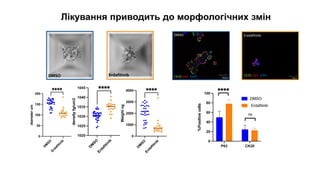 Нові підходи до персоналізованого лікування раку