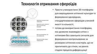 Нові підходи до персоналізованого лікування раку