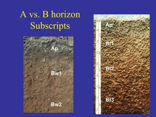 A vs. B horizon
Subscripts
Ap
Bw1
Bw2
Ap
Bt1
Bt2
Bt3
 