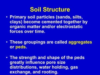Soil Structure
• Primary soil particles (sands, silts,
clays) become cemented together by
organic matter and/or electrostatic
forces over time.
• These groupings are called aggregates
or peds.
• The strength and shape of the peds
greatly influence pore size
distributions, water holding, gas
exchange, and rooting.
 