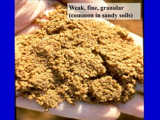 Weak, fine, granular
(common in sandy soils)
 
