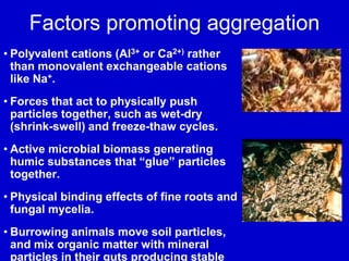 Factors promoting aggregation
• Polyvalent cations (Al3+ or Ca2+) rather
than monovalent exchangeable cations
like Na+.
• Forces that act to physically push
particles together, such as wet-dry
(shrink-swell) and freeze-thaw cycles.
• Active microbial biomass generating
humic substances that “glue” particles
together.
• Physical binding effects of fine roots and
fungal mycelia.
• Burrowing animals move soil particles,
and mix organic matter with mineral
particles in their guts producing stable
 