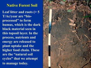 Native Forest Soil
Leaf litter and roots (> 5
T/Ac/year are “bio-
processed” to form
humus, which is the dark
black material seen in
this topsoil layer. In the
process, nutrients and
energy are released to
plant uptake and the
higher food chain. These
are the “natural soil
cycles” that we attempt
to manage today.
 
