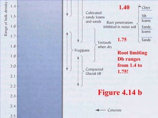 Figure 4.14 b
1.40
1.75
Root limiting
Db ranges
from 1.4 to
1.75!
 