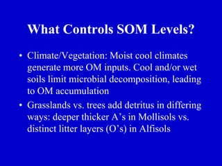 What Controls SOM Levels?
• Climate/Vegetation: Moist cool climates
generate more OM inputs. Cool and/or wet
soils limit microbial decomposition, leading
to OM accumulation
• Grasslands vs. trees add detritus in differing
ways: deeper thicker A’s in Mollisols vs.
distinct litter layers (O’s) in Alfisols
 