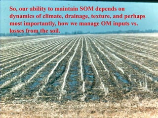 So, our ability to maintain SOM depends on
dynamics of climate, drainage, texture, and perhaps
most importantly, how we manage OM inputs vs.
losses from the soil.
 